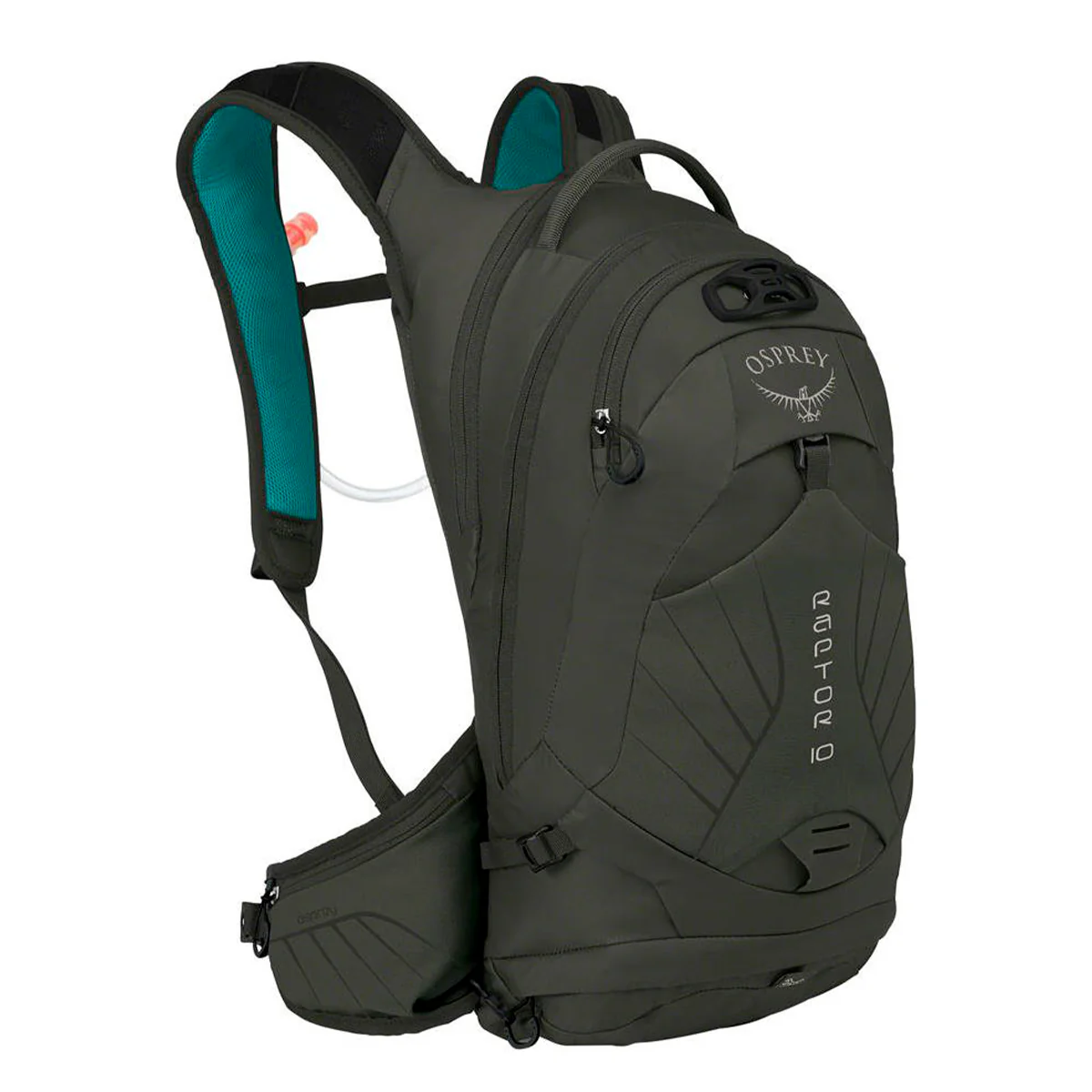 RAPTOR 10 - Imagen 2