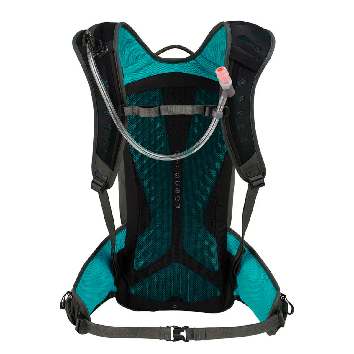 RAPTOR 10 - Imagen 4