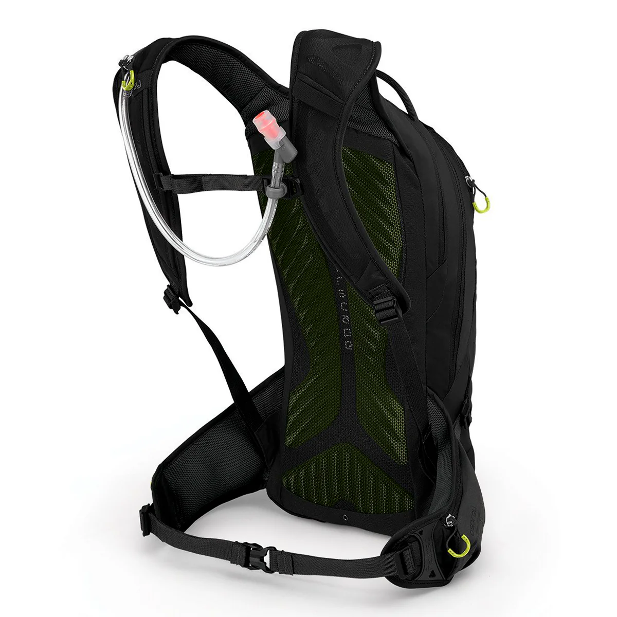 RAPTOR 10 - Imagen 6