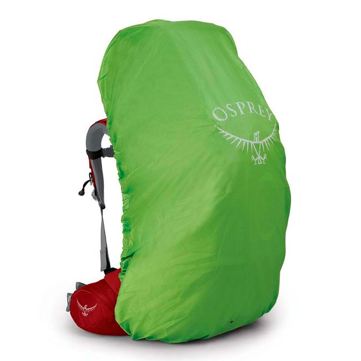 Ariel Plus 70 - Imagen 5