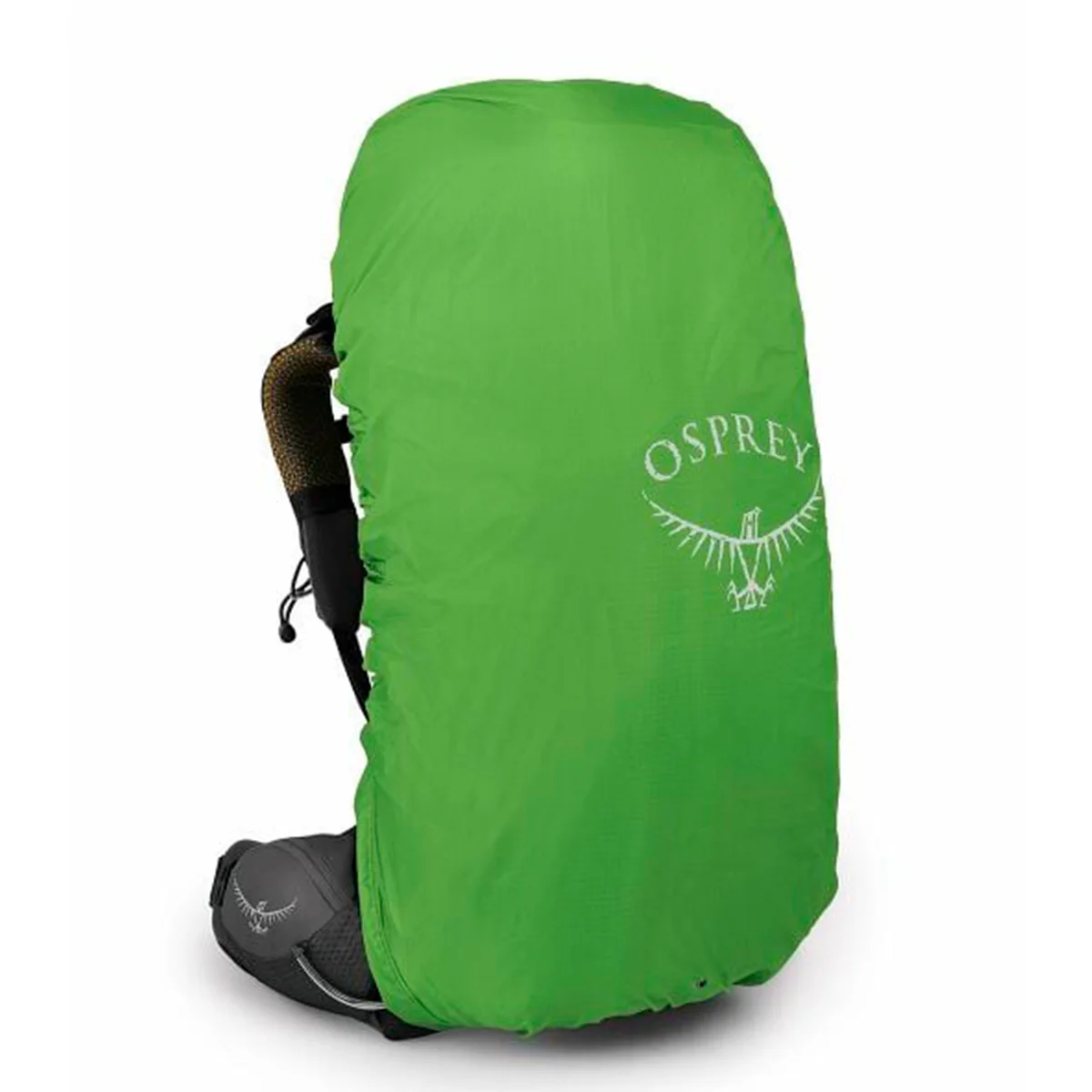 Atmos Ag 50 - Imagen 4