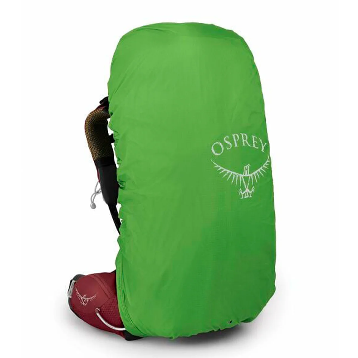 Aura Ag 50 - Imagen 4