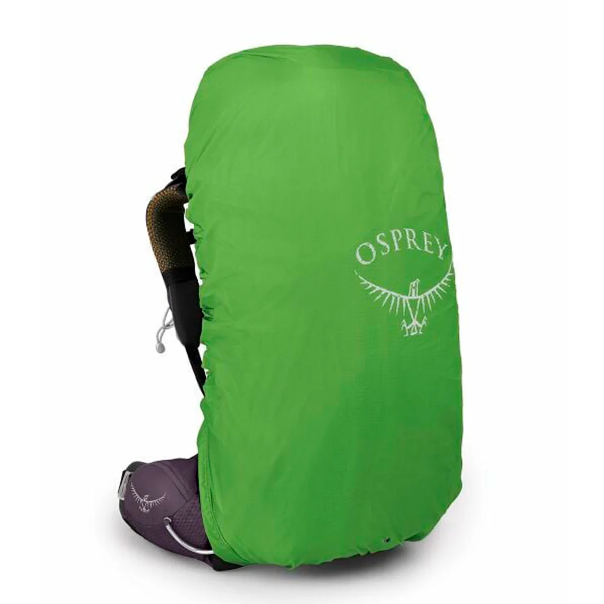 Aura Ag 50 - Imagen 9