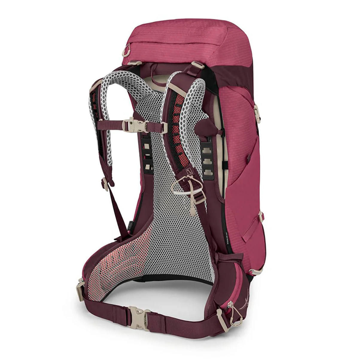 Sirrus 26 - Imagen 8