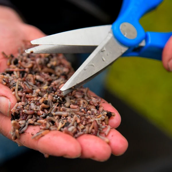 Cresta Double Blade Wormchopper - Imagen 5