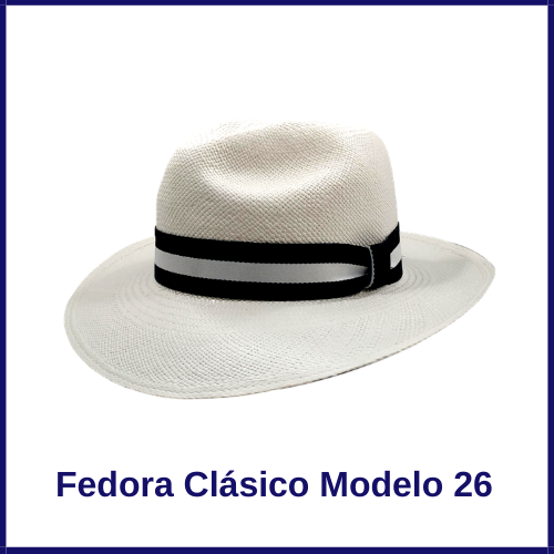 2 Sombreros Panamá Básico y 1 Lentes Gratis - Imagen 4