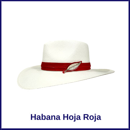 Sombrero Panamá Habana Clásico - Imagen 9
