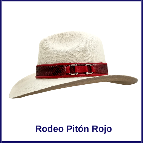 Sombrero Vaquero Especial - Imagen 3