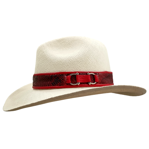 Sombrero Vaquero Especial - Imagen 2