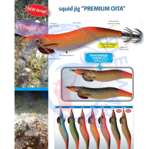 DTD Premium Oita – Vivid & Flash