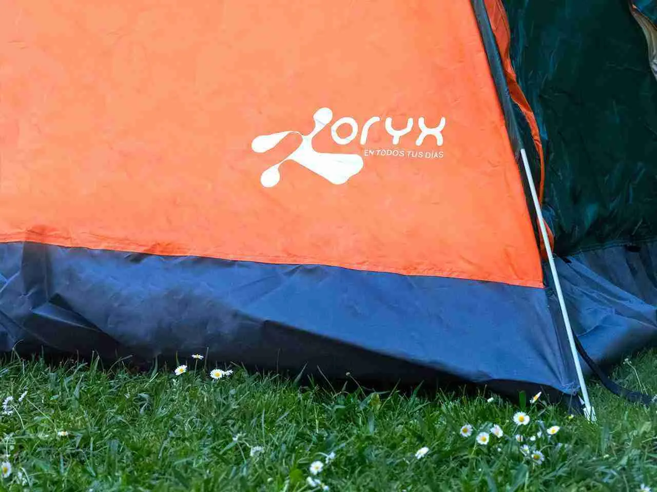 Tienda de campaña para 3-4 Personas - Imagen 4