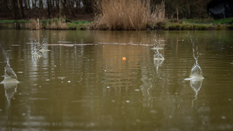 12MM PELLET WAGGLERS Flotador Matrix - Imagen 3