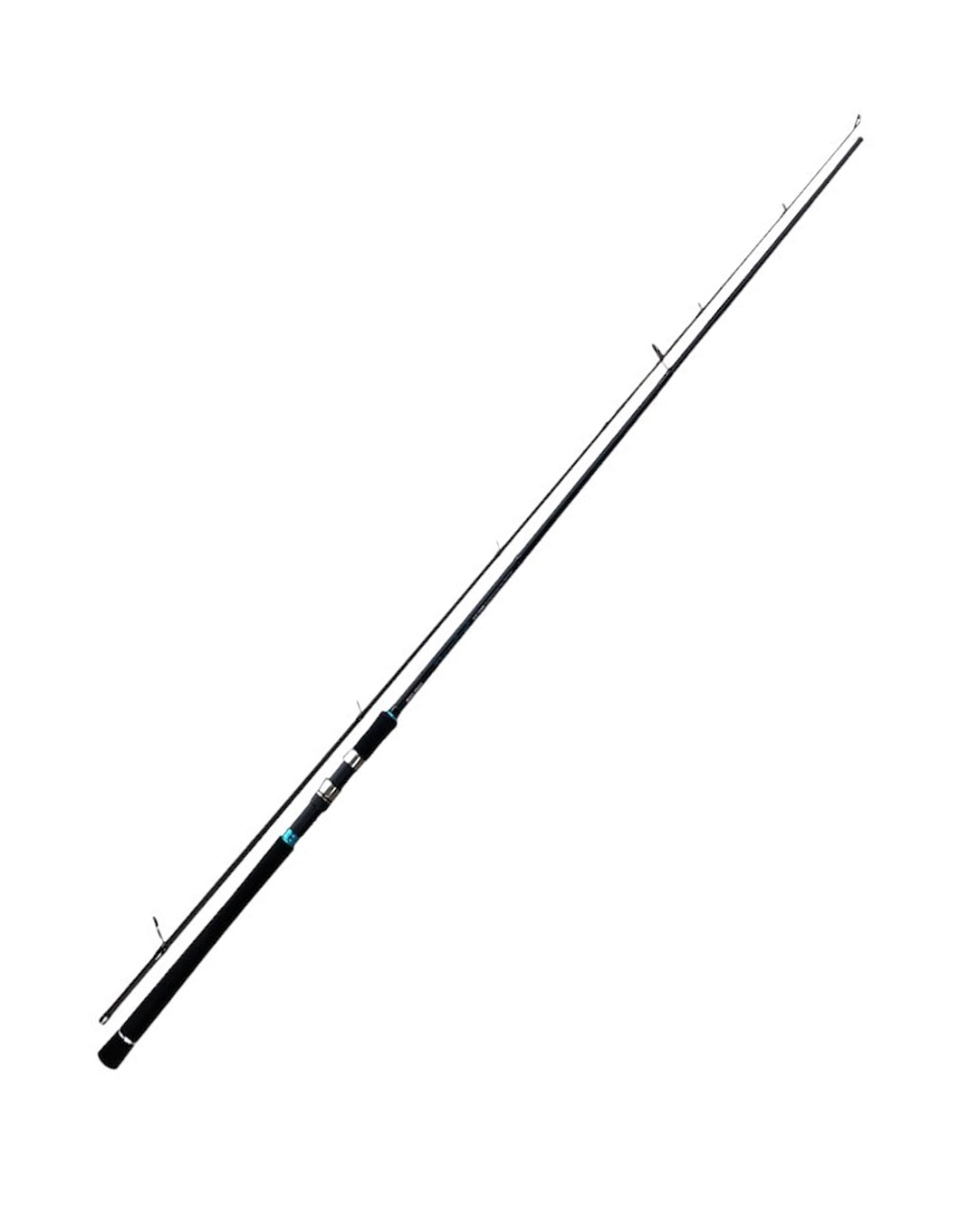 BADFISH Caña Shore Cast 100MH 20-80g